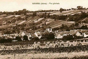 Champagne Dominique Papelard - 